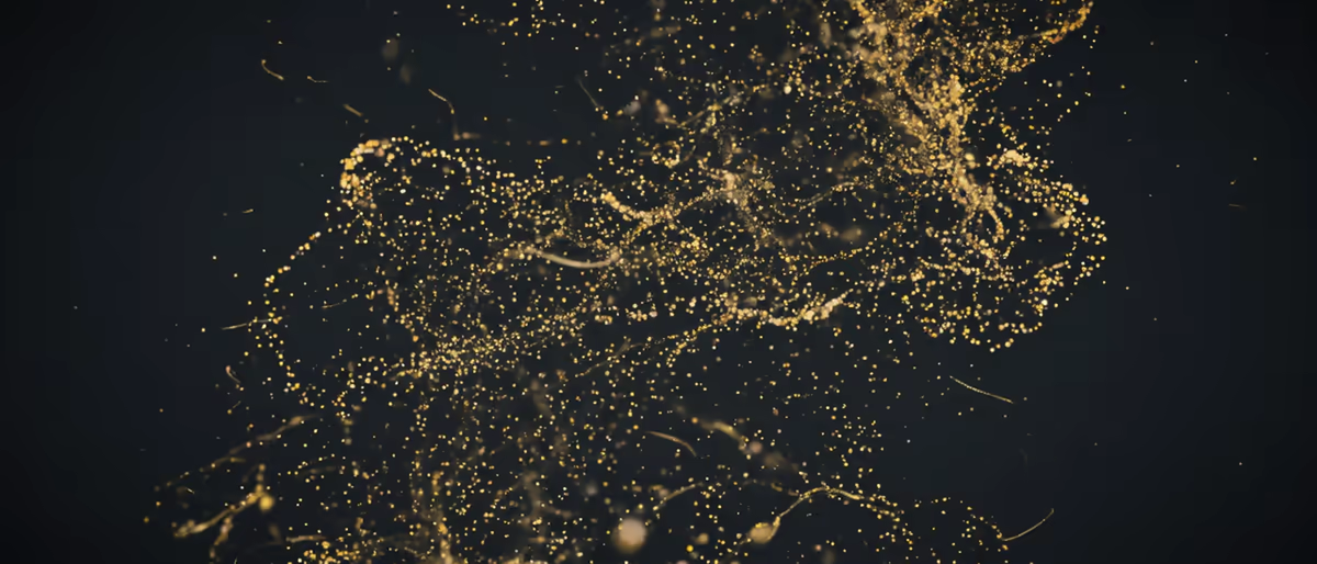 SpaceBlender da Soundtoys: espaço imaginário, não a v2 (2026)
