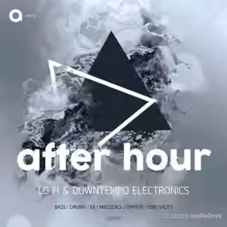 Asonic After Hour [WAV]
