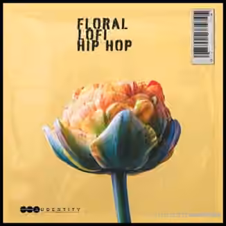 Audentity Records Floral Lofi Hip Hop [WAV]
