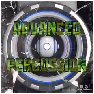 Bfractal Music Advanced Percussion [WAV]
