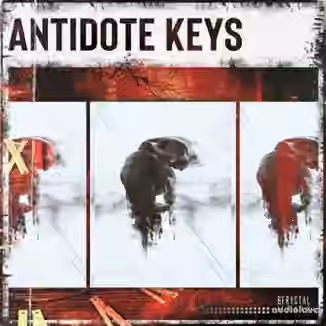 BFractal Music Antidote Keys [WAV]