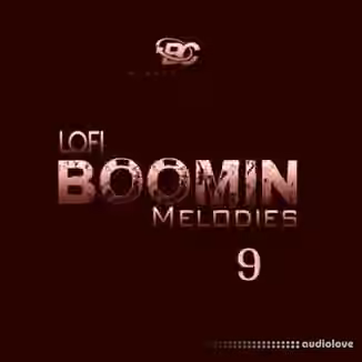 Big Citi Loops Lofi Boomin Melodies 9 [WAV]