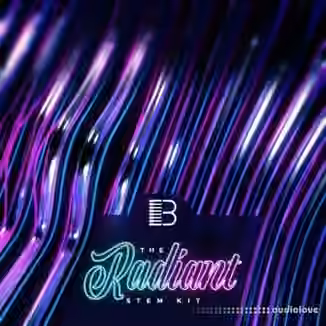 Big Citi Loops Radiant Loop Pack Vol.1 [WAV]