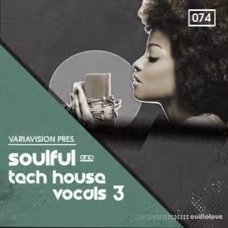 Bingoshakerz Soulful and Tech House Vocals 3 [WAV, REX]