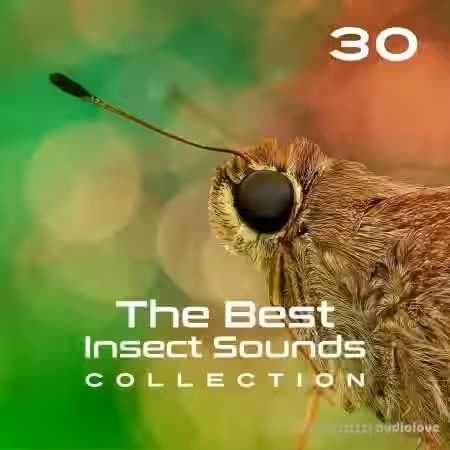Close To Nature Music Ensemble 30 The Best Insect Sounds Collection Fly with Creature, Sound Effects, Magic Library [FLAC]