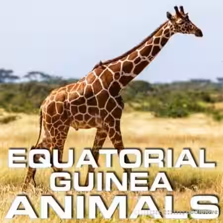Cloud Nine Records Equatorial Guinea Animals [FLAC]