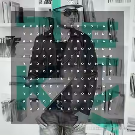 Diginoiz Producers Diary 2 Divine Sounds [WAV]