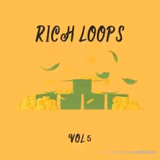DiyMusicBiz Rich Loop Vol.5 [WAV]