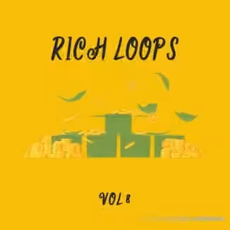 DiyMusicBiz Rich Loop Vol.8 [WAV]