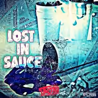 DJ 1Truth Lost In Sauce [WAV]