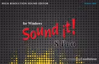Internet Sound It 9 Pro v9.01.4 [WiN]