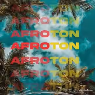 JTBeatz AfroTon Drum Loop Kit [WAV]