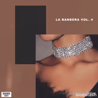 KXVI La Bandera Loop Kit Vol.4 [WAV]