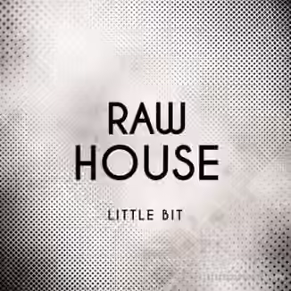 Little Bit Raw House [WAV]
