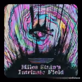 Miles Stain Intrinsic Field (Analog Lab V Bank) [Synth Presets]