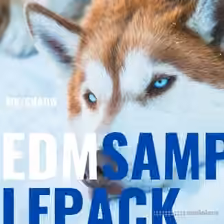 MKShadw EDM Sample Pack [WAV]