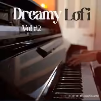 Mondo Loops Dreamy Lofi Hip Hop Volume 2 [WAV]