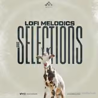 MSXII Lofi Melodics Selections [WAV]