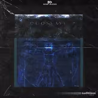 Nine Audio The Code [WAV]