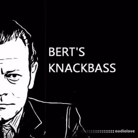 PastToFutureReverbs Bert's Knackbass [KONTAKT]