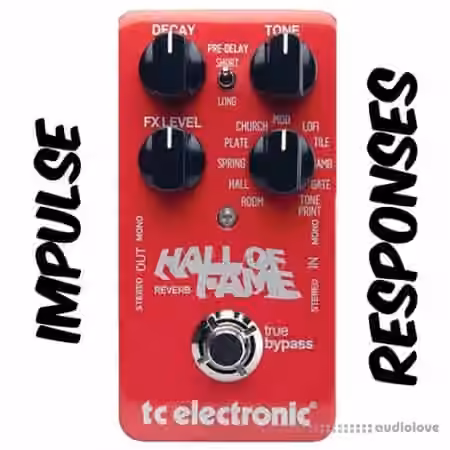 PastToFutureReverbs TC Hall Of Fame Reverb Pedal!
