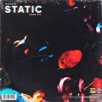 Pilgrim Static Loop Kit [WAV]