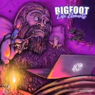 PNW Sounds Bigfoot LoFi Elements [WAV]