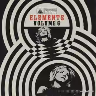 Polyphonic Music Library The Polyphonic Elements Vol.6 [WAV]