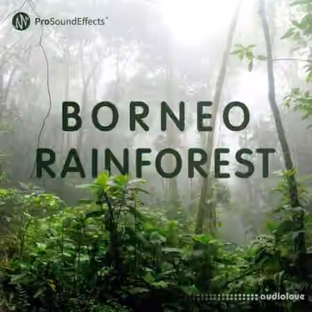 Pro Sound Effects Borneo Rainforest [WAV]
