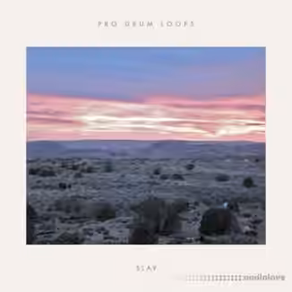ProDrumLoops Slay [AiFF]