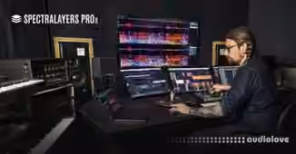 Steinberg SpectraLayers Pro v8.0.20 [WiN]