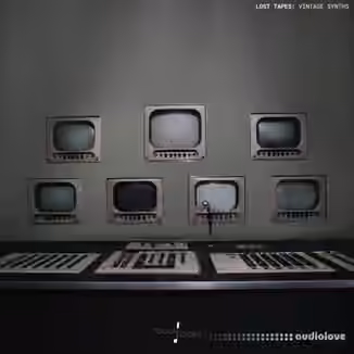 Touch Loops Lost Tapes Vintage Synths [WAV]