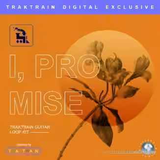 TrakTrain I, promise [WAV]