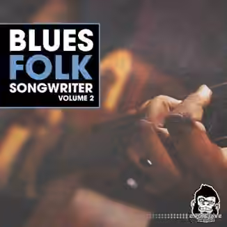 Vanilla Groove Studios Blues Folk Songwriter Vol.2 [WAV]