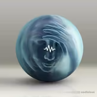 WavSupply 77 Vertigo (Loop Kit) [WAV]