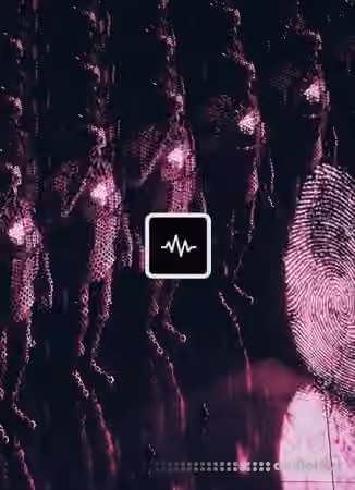 WavSupply Nick Mira Luna [Synth Presets]