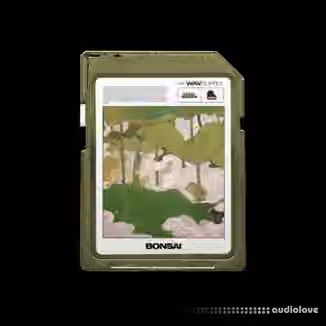 WavSupply nico baran Bonsai (Loop Kit) [WAV]