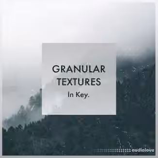 Whitenoise Records Granular Textures In Key [WAV]