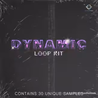 YBH Beats Dynamic Loop Kit by YBH Beats and Wave808 [WAV]